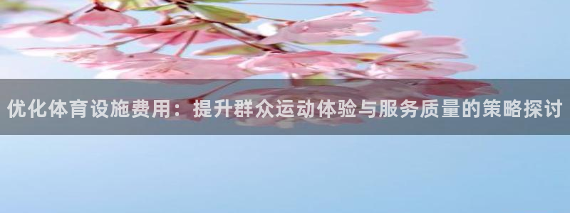 意昂5(KGAME)体育平台是正规平台吗安全吗：优化