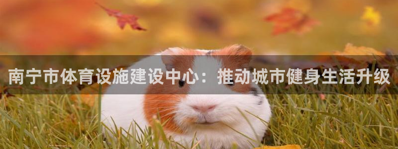 意昂5(KGAME)体育注册：南宁市体育设施建设中心：推动城