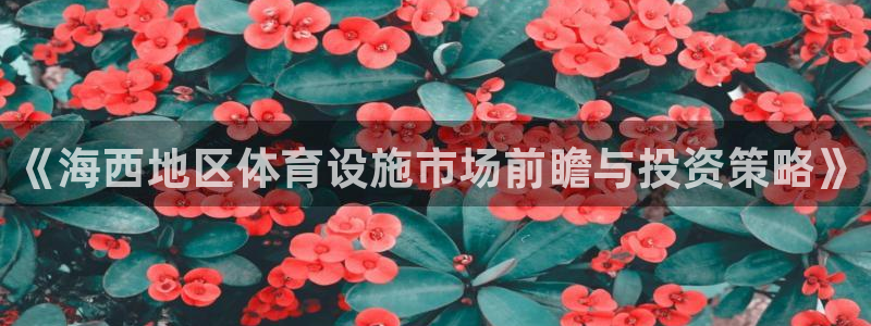 意昂5(KGAME)娱乐代理怎么样：《海西地区体育设施市场前