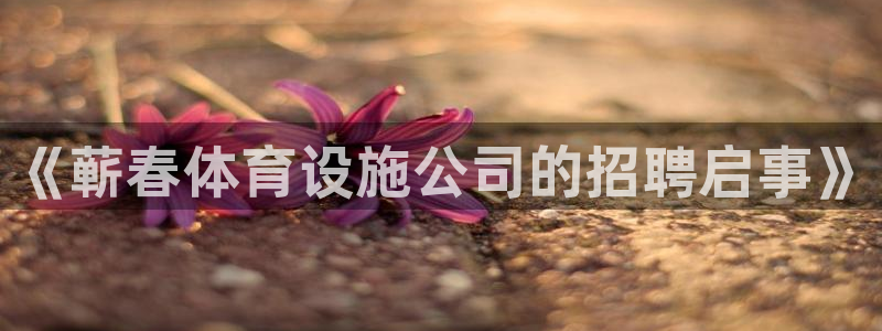 海南意昂5(KGAME)体育发展怎么样：《蕲春体育设施公司的