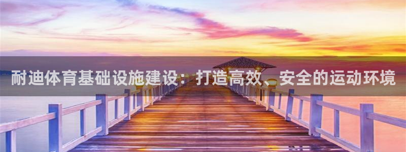 海南意昂5(KGAME)体育：耐迪体育基础设施建设：打造高效