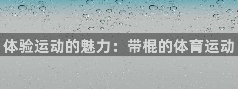 熊猫体育nba：体验运动的魅力：带棍的体育运动