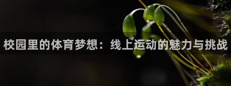 熊猫体育官网：校园里的体育梦想：线上运动的魅力与挑战