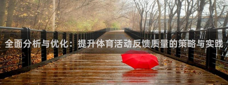熊猫体育比赛直播：全面分析与优化：提升体育活动反馈质量的策略与实践