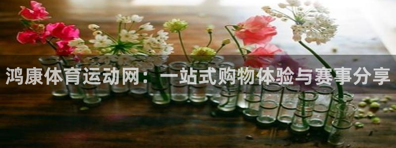 熊猫体育app官网入口：鸿康体育运动网：一站式购物体验与赛事分享