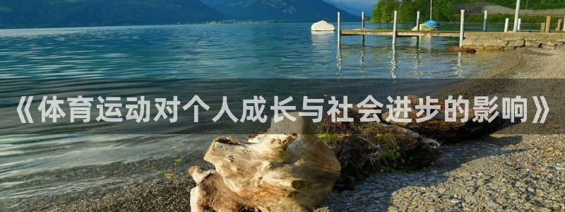 熊猫体育平台官网：《体育运动对个人成长与社会进步的影响》