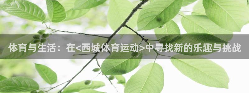 熊猫体育v3.新网页.org：体育与生活：在<西城体育运动>中寻找新的乐趣与挑战