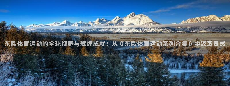 181熊猫体育：东欧体育运动的全球视野与辉煌成就：从《东欧体育运动系列合集》中汲取灵感