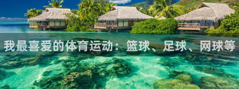 熊猫体育在线：我最喜爱的体育运动：篮球、足球、网球等