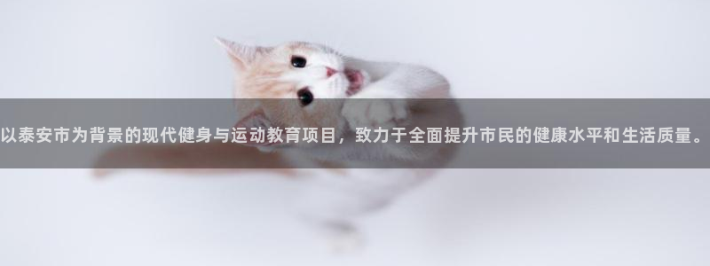 熊猫体育文化有限公司：以泰安市为背景的现代健身与运动教育项目，致力于全面提升市民的健康水平和生活质量。