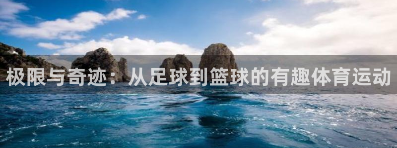 熊猫体育平台官网