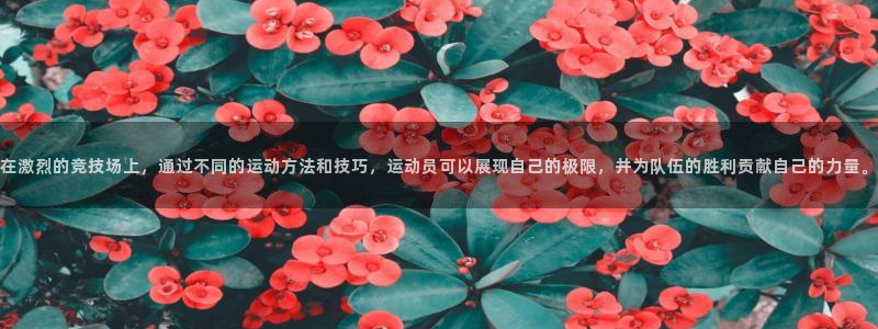 熊猫体育app下载安装：在激烈的竞技场上，通过不同的运动方法和技巧，运动员可以展现自己的极限，并为队伍的胜利贡献自己的力量。