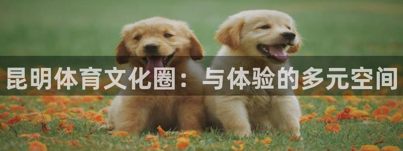 意昂5(KGAME)娱乐平台：昆明体育文化圈：与体验的多元空